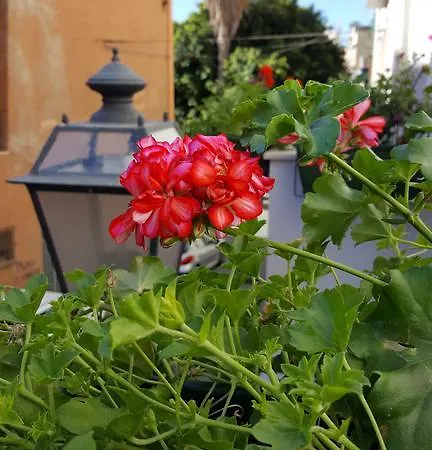 Al Sale Bed & Breakfast 4*